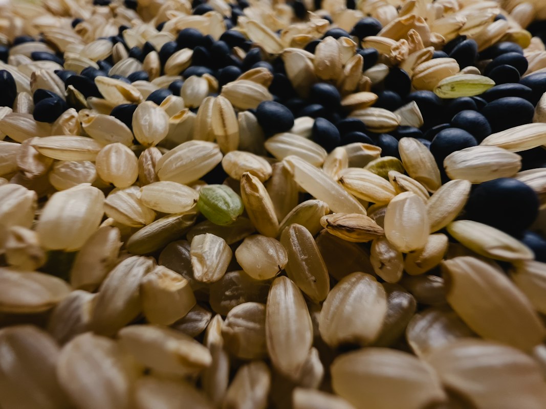 Understanding carbohydrates and blood sugar